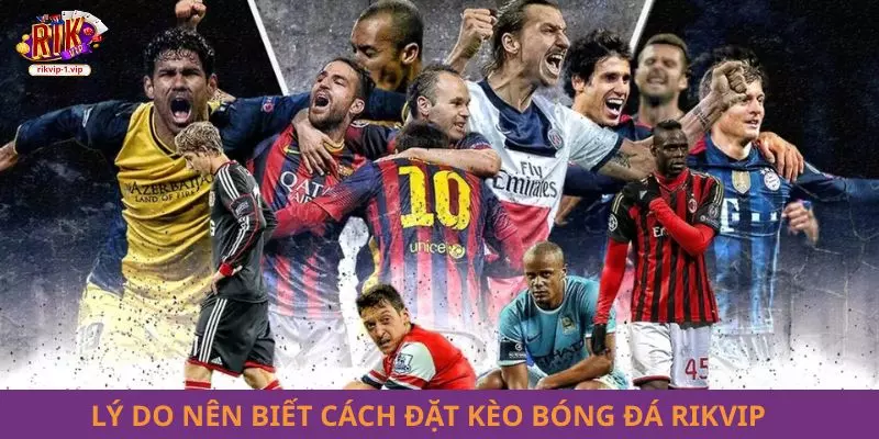 Lý do nên biết cách đặt kèo bóng đá RIKVIP